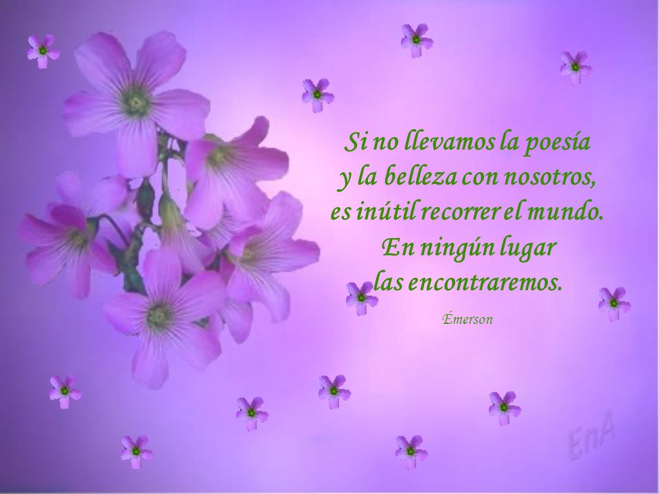 Si no llevamos la poesía y la belleza con nosotros, es inútil recorrer el mundo. En ningún lugar las encontraremos.