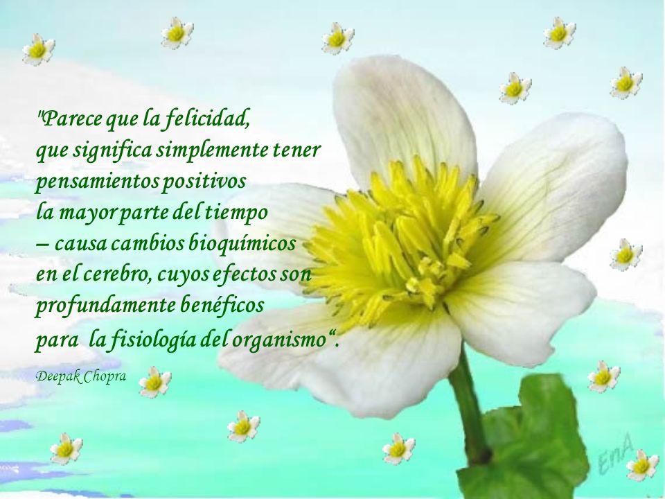Parece que la felicidad, que significa simplemente tener pensamientos positivos la mayor parte del tiempo – causa cambios bioquímicos en el cerebro, cuyos efectos son profundamente benéficos para la fisiología del organismo .