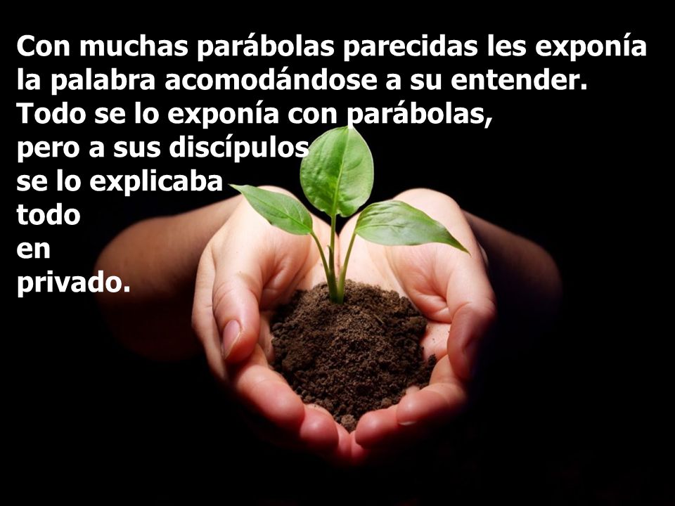 Con muchas parábolas parecidas les exponía la palabra acomodándose a su entender.