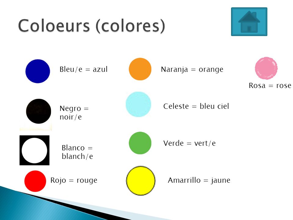 Coloeurs (colores) Bleu/e = azul Naranja = orange Rosa = rose
