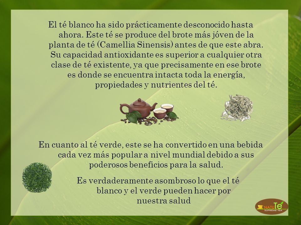 El té blanco ha sido prácticamente desconocido hasta ahora