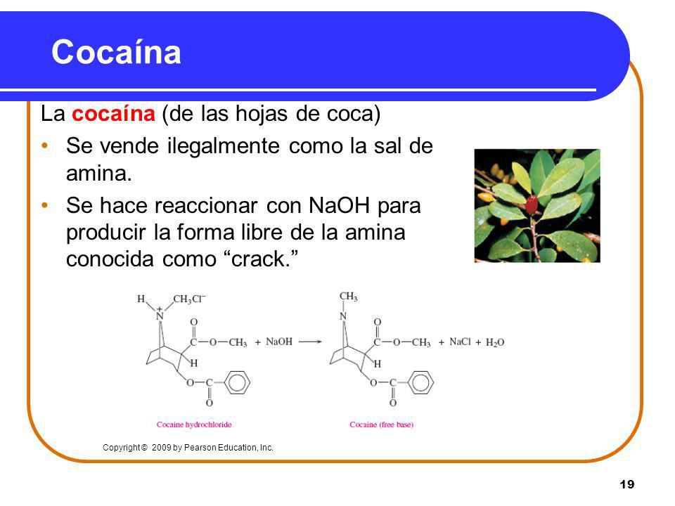 Cocaína La cocaína (de las hojas de coca)