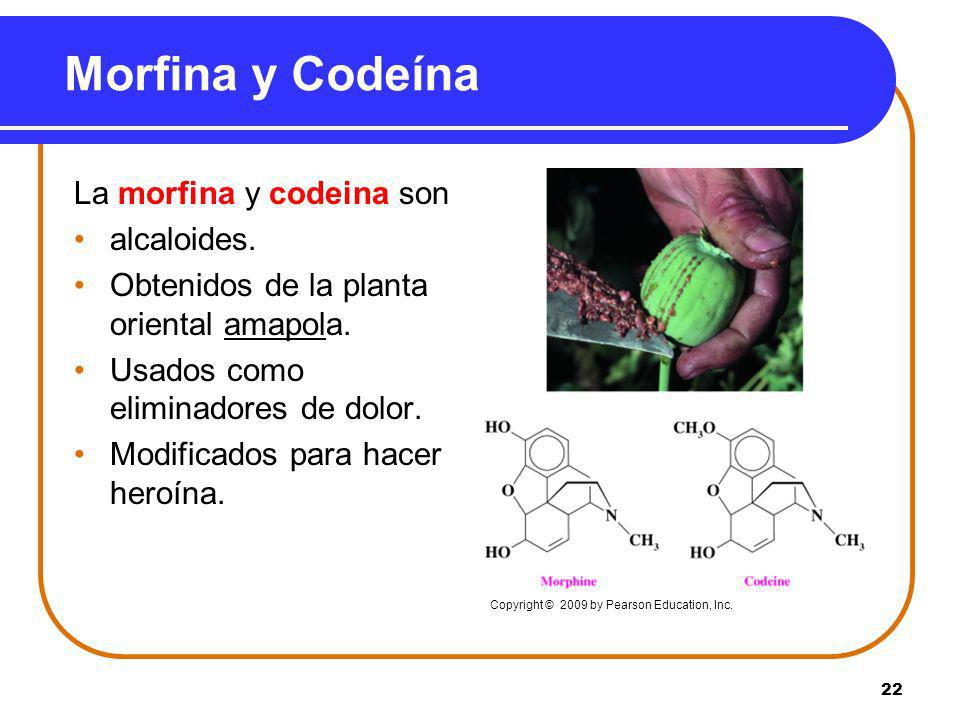 Morfina y Codeína La morfina y codeina son alcaloides.