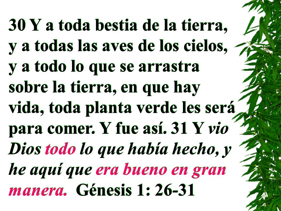30 Y a toda bestia de la tierra, y a todas las aves de los cielos, y a todo lo que se arrastra sobre la tierra, en que hay vida, toda planta verde les será para comer.