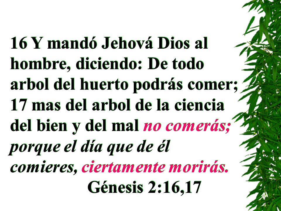 16 Y mandó Jehová Dios al hombre, diciendo: De todo arbol del huerto podrás comer; 17 mas del arbol de la ciencia del bien y del mal no comerás; porque el día que de él comieres, ciertamente morirás.