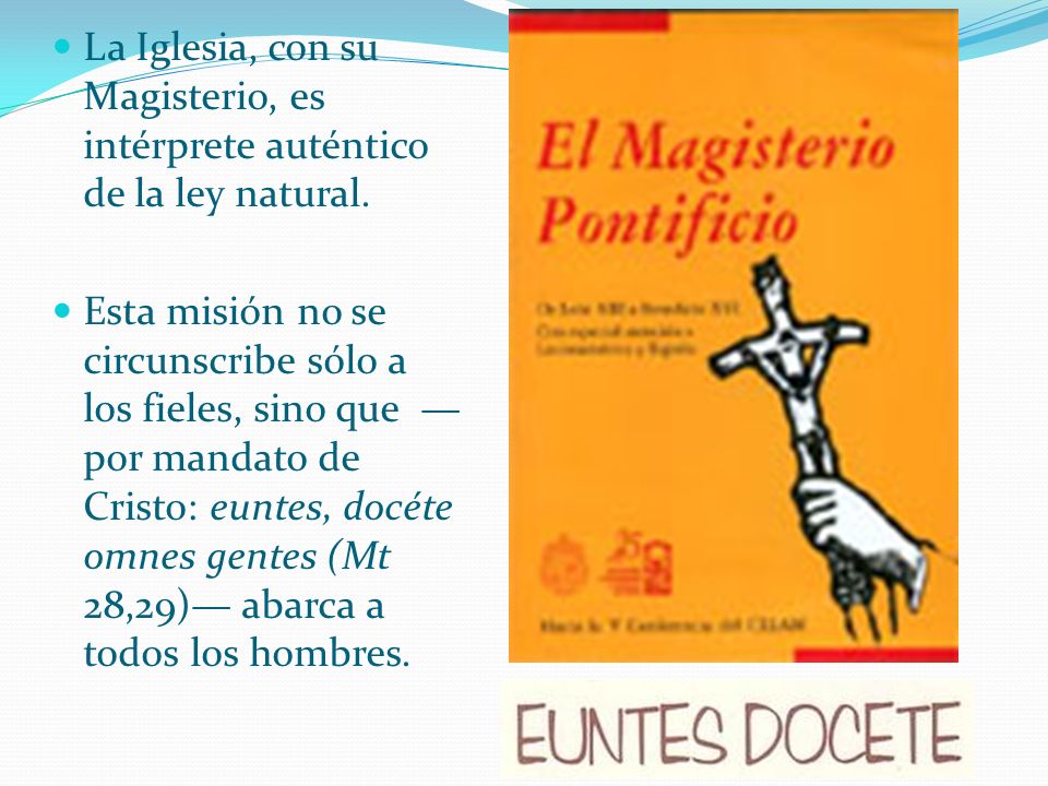 La Iglesia, con su Magisterio, es intérprete auténtico de la ley natural.