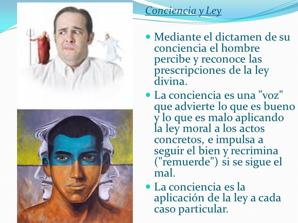 La conciencia es la aplicación de la ley a cada caso particular.