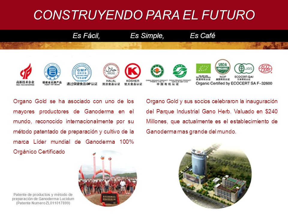 Patente de productos y método de preparación de Ganoderma Lucidum