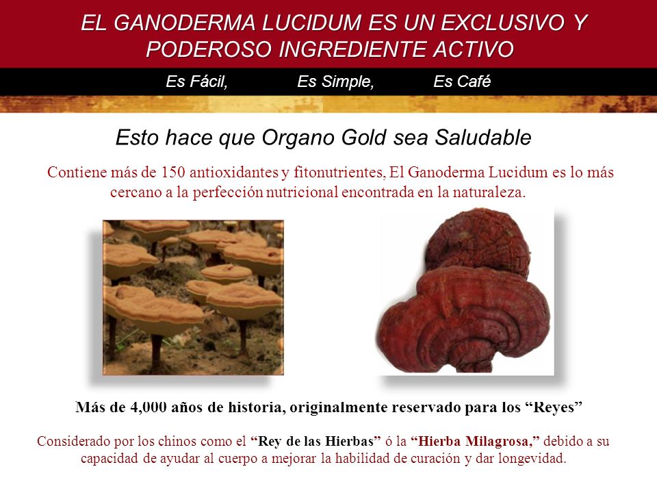 EL GANODERMA LUCIDUM ES UN EXCLUSIVO Y PODEROSO INGREDIENTE ACTIVO