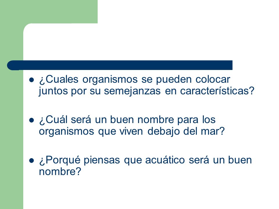 ¿Cuales organismos se pueden colocar juntos por su semejanzas en características