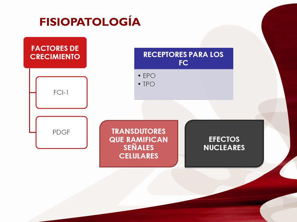 FACTORES DE CRECIMIENTO
