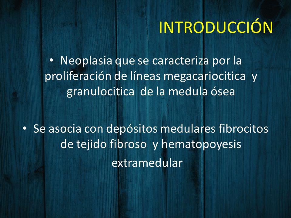 INTRODUCCIÓN Neoplasia que se caracteriza por la proliferación de líneas megacariocitica y granulocitica de la medula ósea.