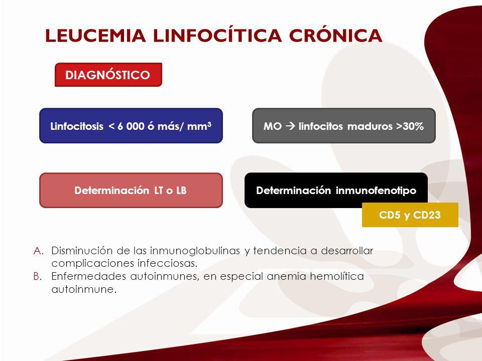 Linfocitosis < ó más/ mm3 MO  linfocitos maduros >30%