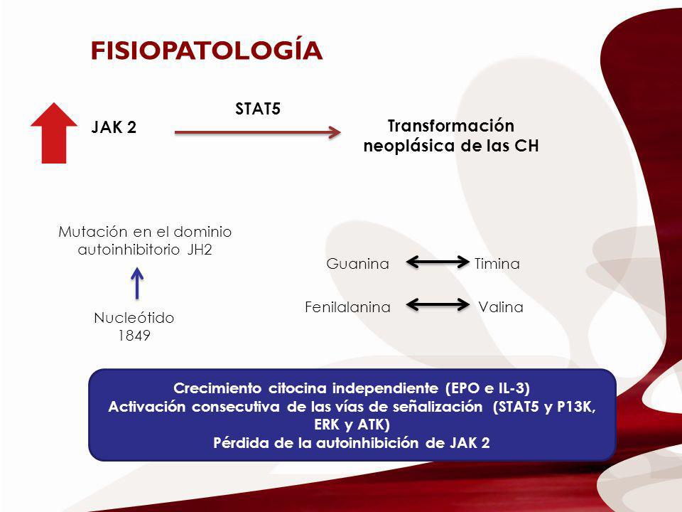 FISIOPATOLOGÍA JAK 2 STAT5 Transformación neoplásica de las CH