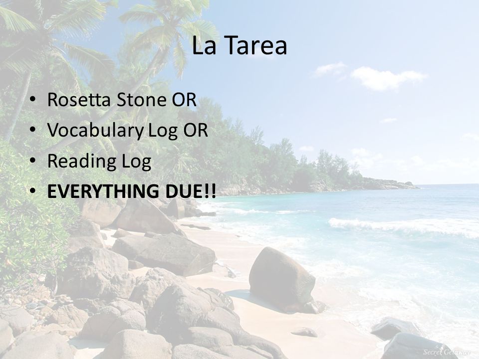 La Tarea Rosetta Stone OR Vocabulary Log OR Reading Log