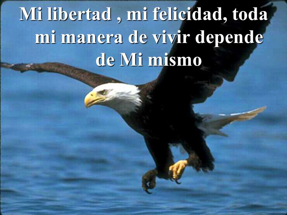 Mi libertad , mi felicidad, toda mi manera de vivir depende de Mi mismo
