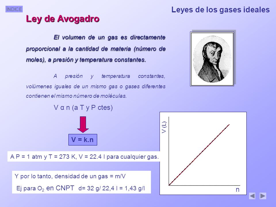Ley de Avogadro Leyes de los gases ideales