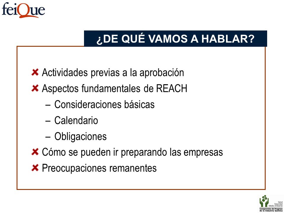 ¿DE QUÉ VAMOS A HABLAR Actividades previas a la aprobación. Aspectos fundamentales de REACH. Consideraciones básicas.