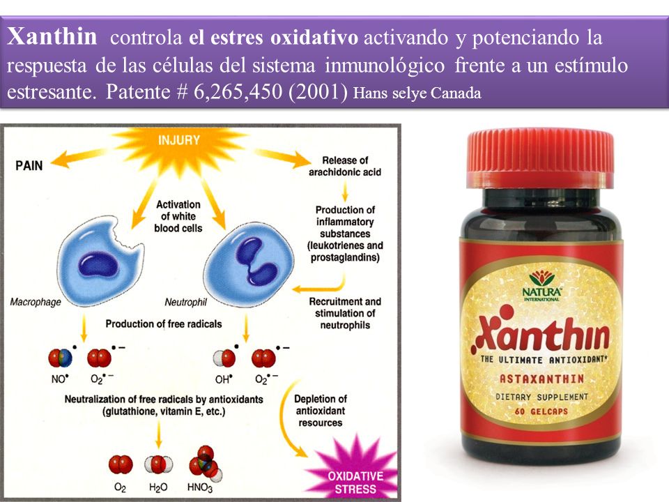 Xanthin controla el estres oxidativo activando y potenciando la respuesta de las células del sistema inmunológico frente a un estímulo estresante.