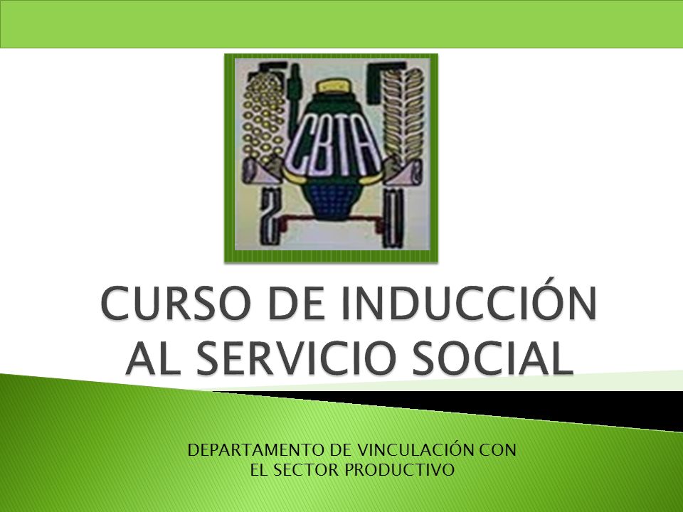 CURSO DE INDUCCIÓN AL SERVICIO SOCIAL