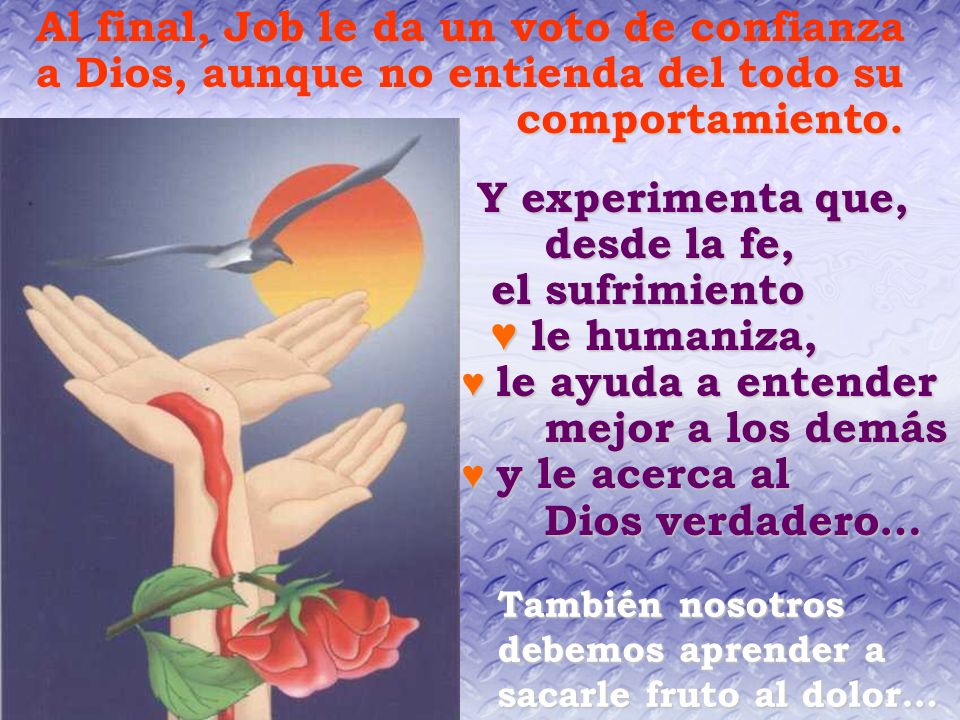 Y experimenta que, desde la fe, el sufrimiento ♥ le humaniza,