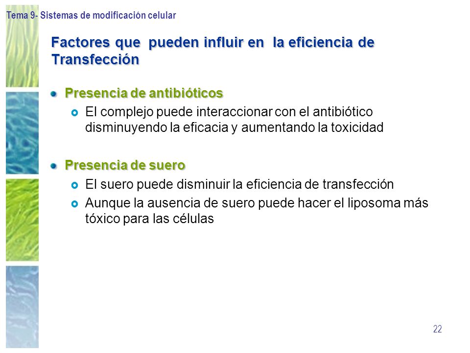 Factores que pueden influir en la eficiencia de Transfección