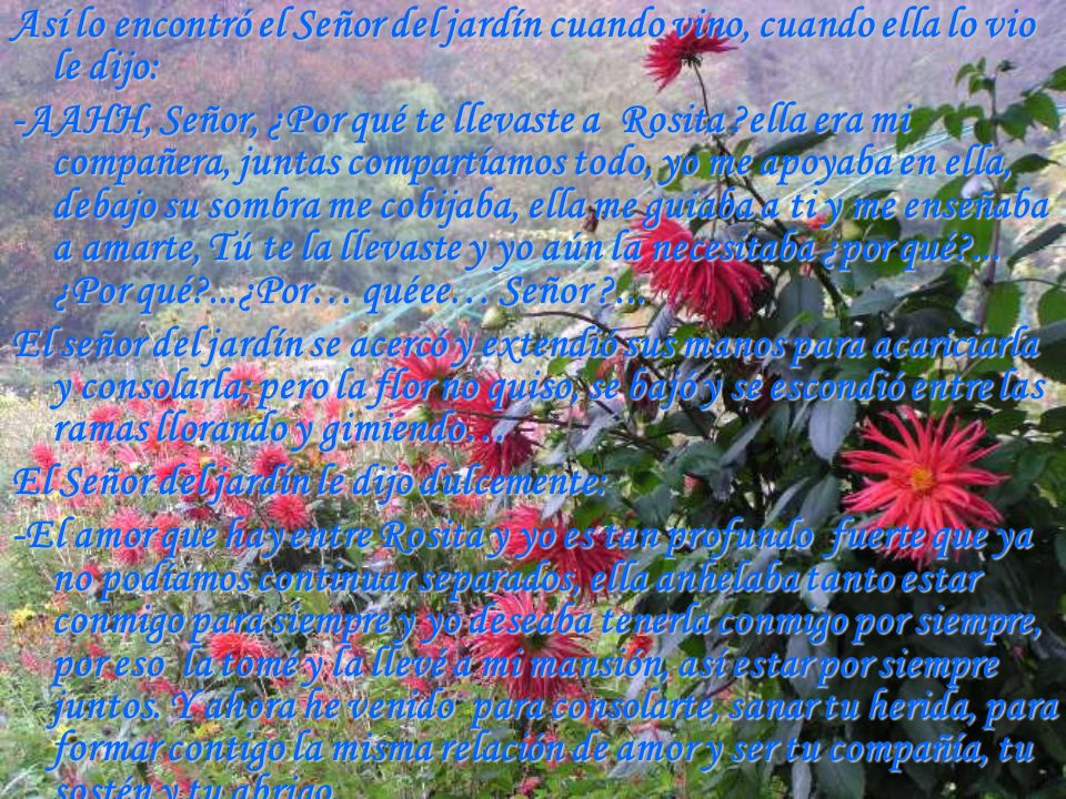 Así lo encontró el Señor del jardín cuando vino, cuando ella lo vio le dijo: