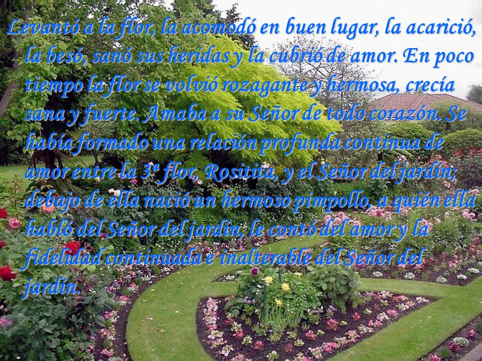 Levantó a la flor, la acomodó en buen lugar, la acarició, la besó, sanó sus heridas y la cubrió de amor.