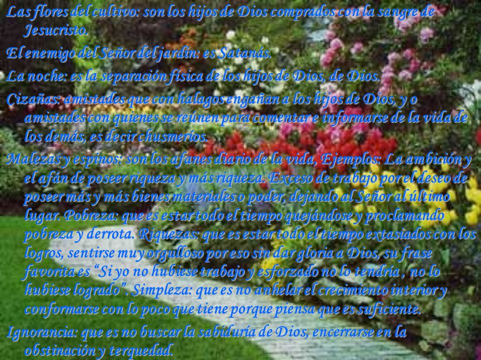 Las flores del cultivo: son los hijos de Dios comprados con la sangre de Jesucristo.