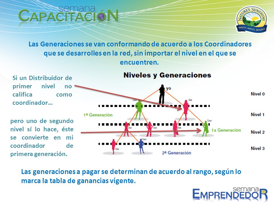 Las Generaciones se van conformando de acuerdo a los Coordinadores que se desarrolles en la red, sin importar el nivel en el que se encuentren.
