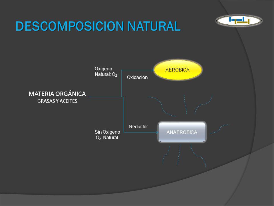 DESCOMPOSICION NATURAL