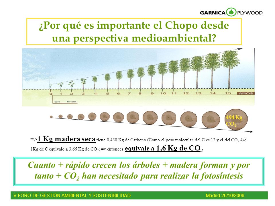 ¿Por qué es importante el Chopo desde una perspectiva medioambiental