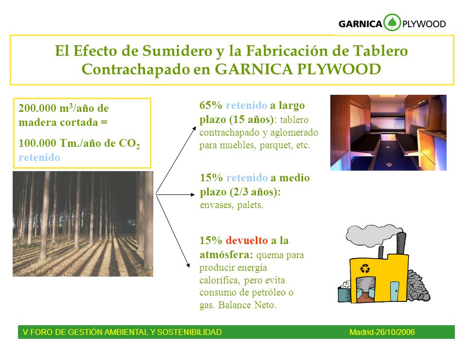 El Efecto de Sumidero y la Fabricación de Tablero Contrachapado en GARNICA PLYWOOD