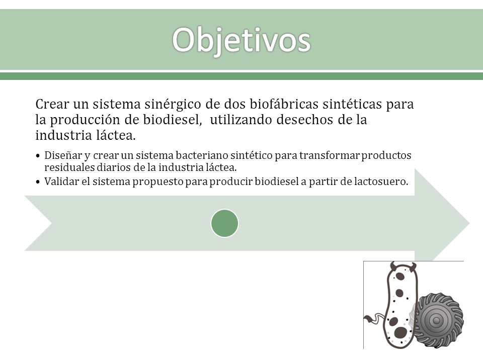 Objetivos Crear un sistema sinérgico de dos biofábricas sintéticas para la producción de biodiesel, utilizando desechos de la industria láctea.