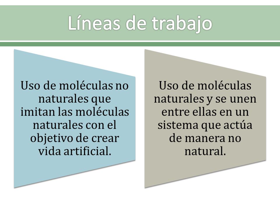 Líneas de trabajo Uso de moléculas no naturales que imitan las moléculas naturales con el objetivo de crear vida artificial.