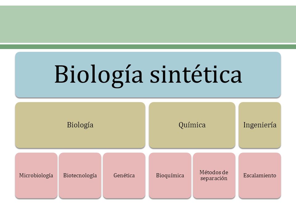 Biología sintética Biología. Microbiología. Biotecnología. Genética. Química. Bioquímica. Métodos de separación.