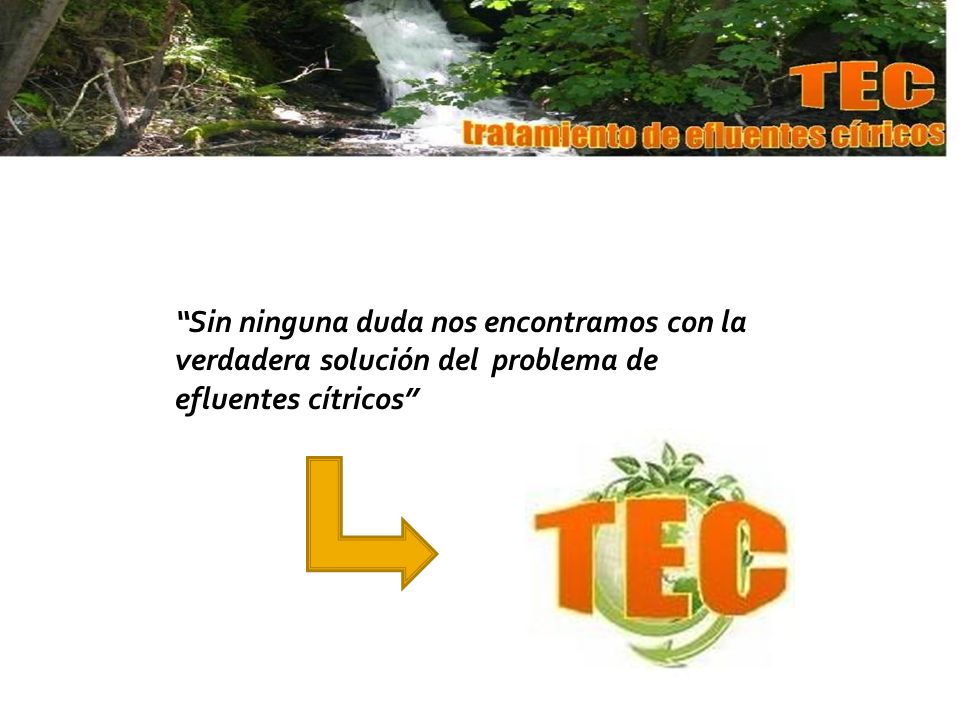 Sin ninguna duda nos encontramos con la verdadera solución del problema de efluentes cítricos