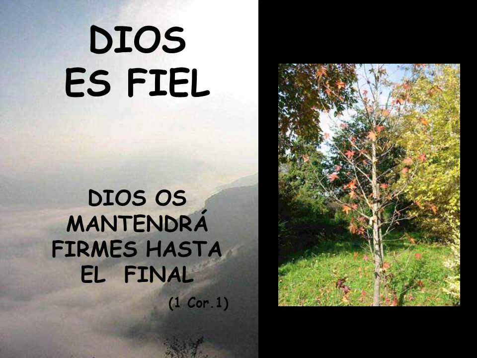 DIOS OS MANTENDRÁ FIRMES HASTA EL FINAL (1 Cor.1)