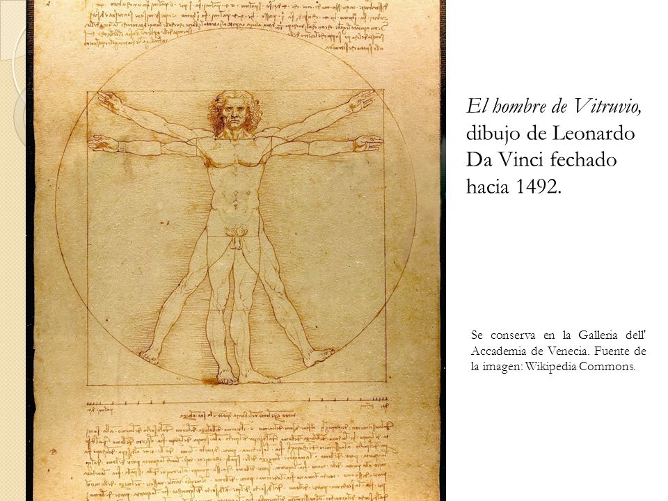 El hombre de Vitruvio, dibujo de Leonardo Da Vinci fechado hacia 1492.