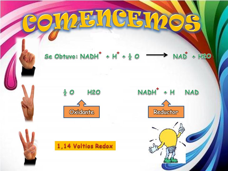 COMENCEMOS Se Obtuvo: NADH + H + ½ O NAD + H2O + ½ O H2O Oxidante