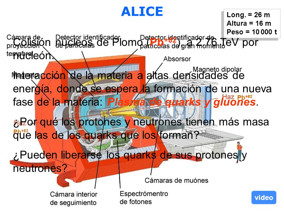 ALICE Colisión núcleos de Plomo (Pb+82), a 2.76 TeV por núcleón.