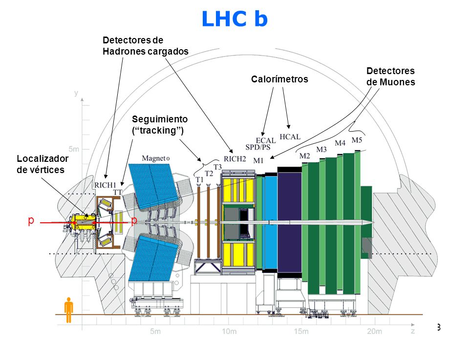  LHC b p Detectores de Hadrones cargados Detectores de Muones