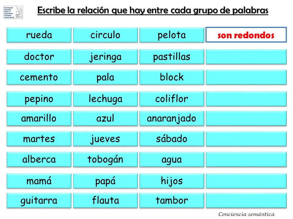 Escribe la relación que hay entre cada grupo de palabras