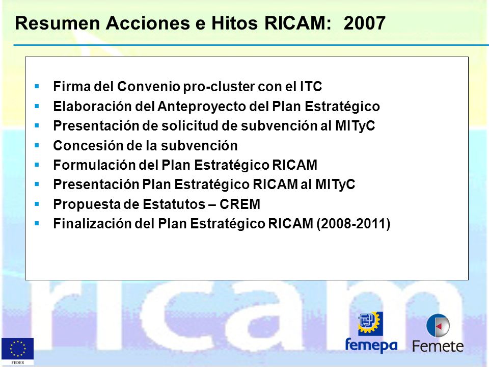 Resumen Acciones e Hitos RICAM: 2007