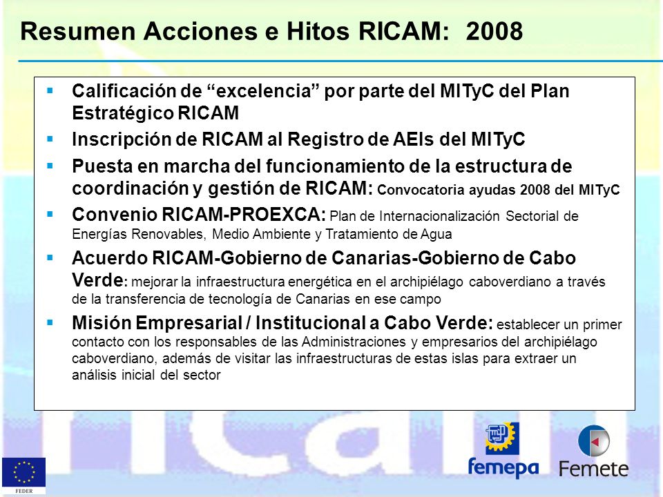 Resumen Acciones e Hitos RICAM: 2008