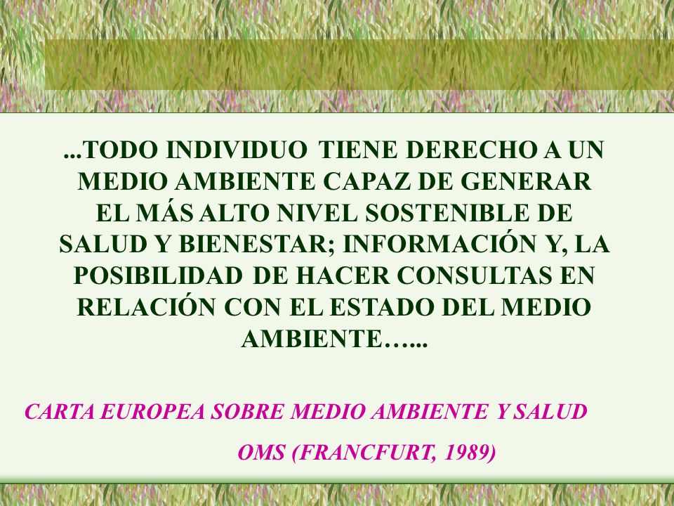 ...TODO INDIVIDUO TIENE DERECHO A UN MEDIO AMBIENTE CAPAZ DE GENERAR EL MÁS ALTO NIVEL SOSTENIBLE DE SALUD Y BIENESTAR; INFORMACIÓN Y, LA POSIBILIDAD DE HACER CONSULTAS EN RELACIÓN CON EL ESTADO DEL MEDIO AMBIENTE…...