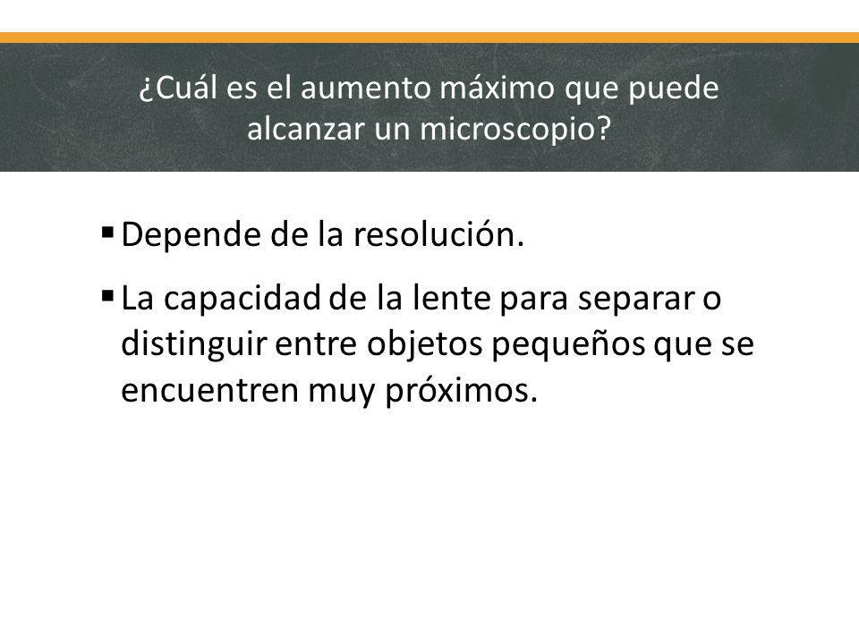 ¿Cuál es el aumento máximo que puede alcanzar un microscopio