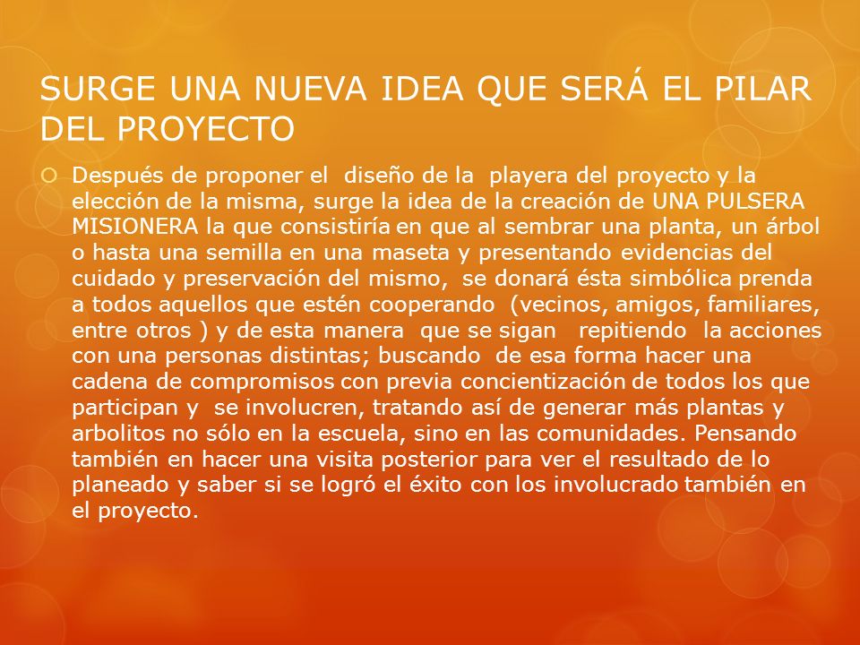 SURGE UNA NUEVA IDEA QUE SERÁ EL PILAR DEL PROYECTO