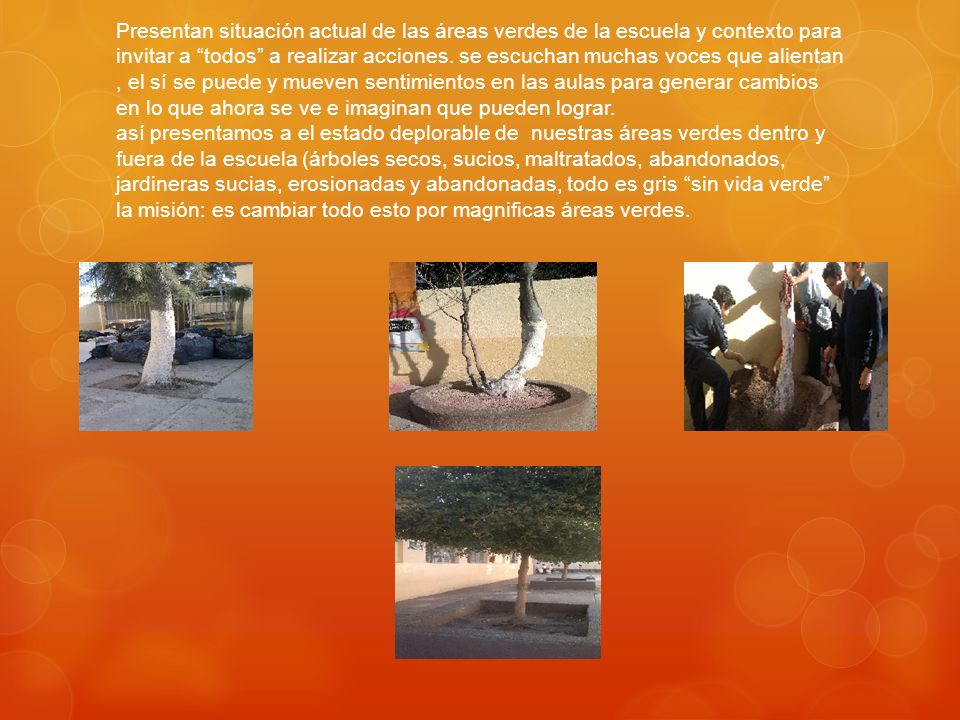 Presentan situación actual de las áreas verdes de la escuela y contexto para invitar a todos a realizar acciones.