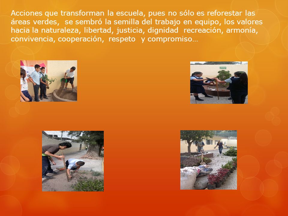 Acciones que transforman la escuela, pues no sólo es reforestar las áreas verdes, se sembró la semilla del trabajo en equipo, los valores hacia la naturaleza, libertad, justicia, dignidad recreación, armonía, convivencia, cooperación, respeto y compromiso…